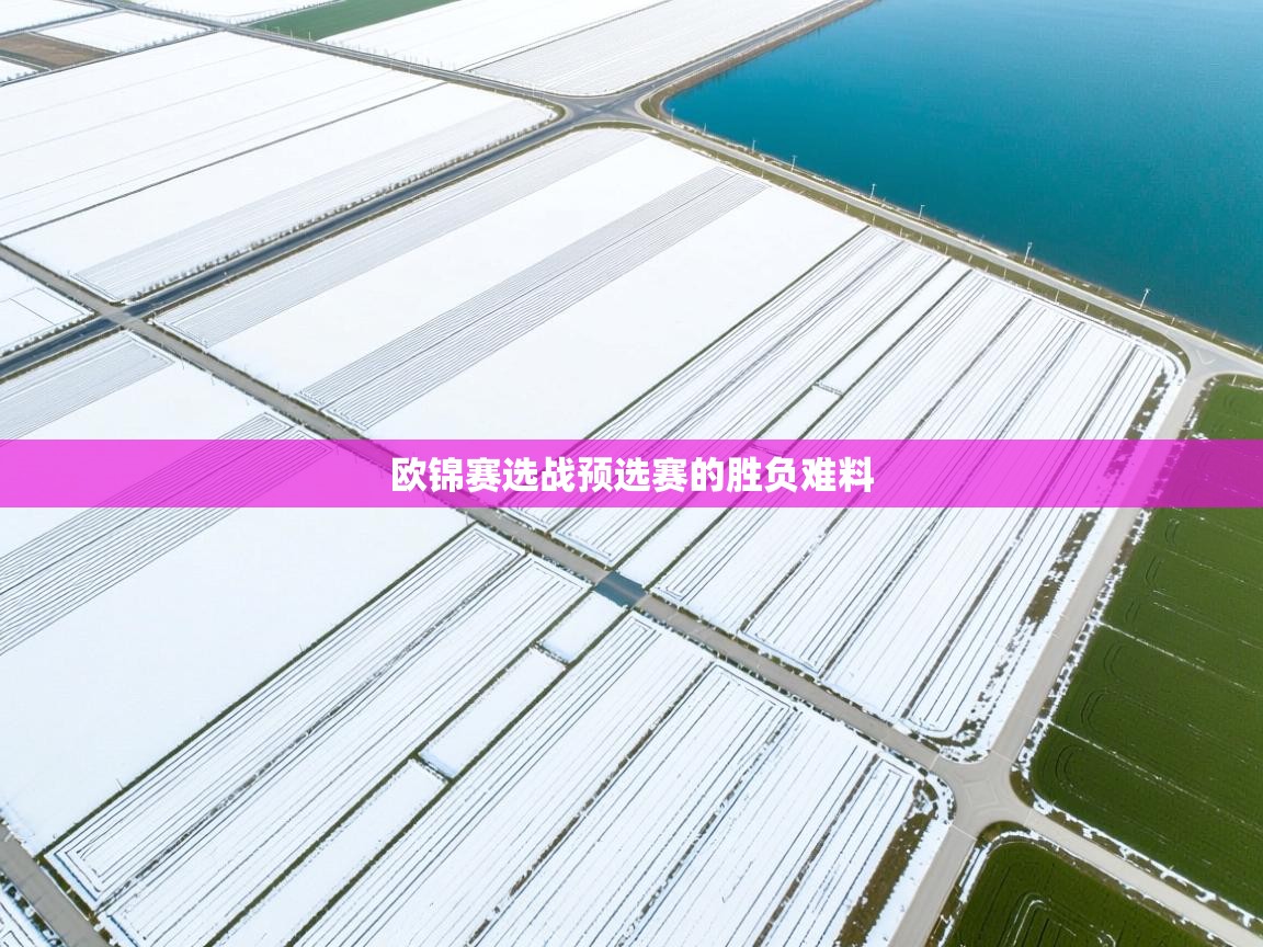 欧锦赛选战预选赛的胜负难料  第1张