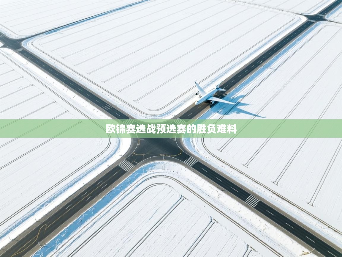 欧锦赛选战预选赛的胜负难料  第2张