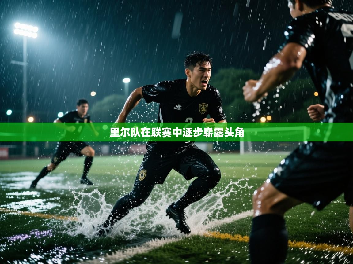 里尔队在联赛中逐步崭露头角 第1张