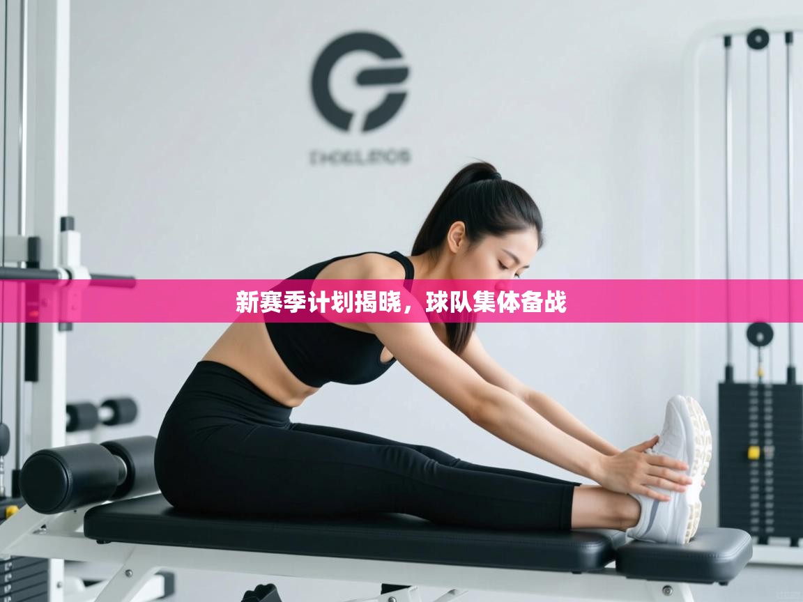 新赛季计划揭晓，球队集体备战