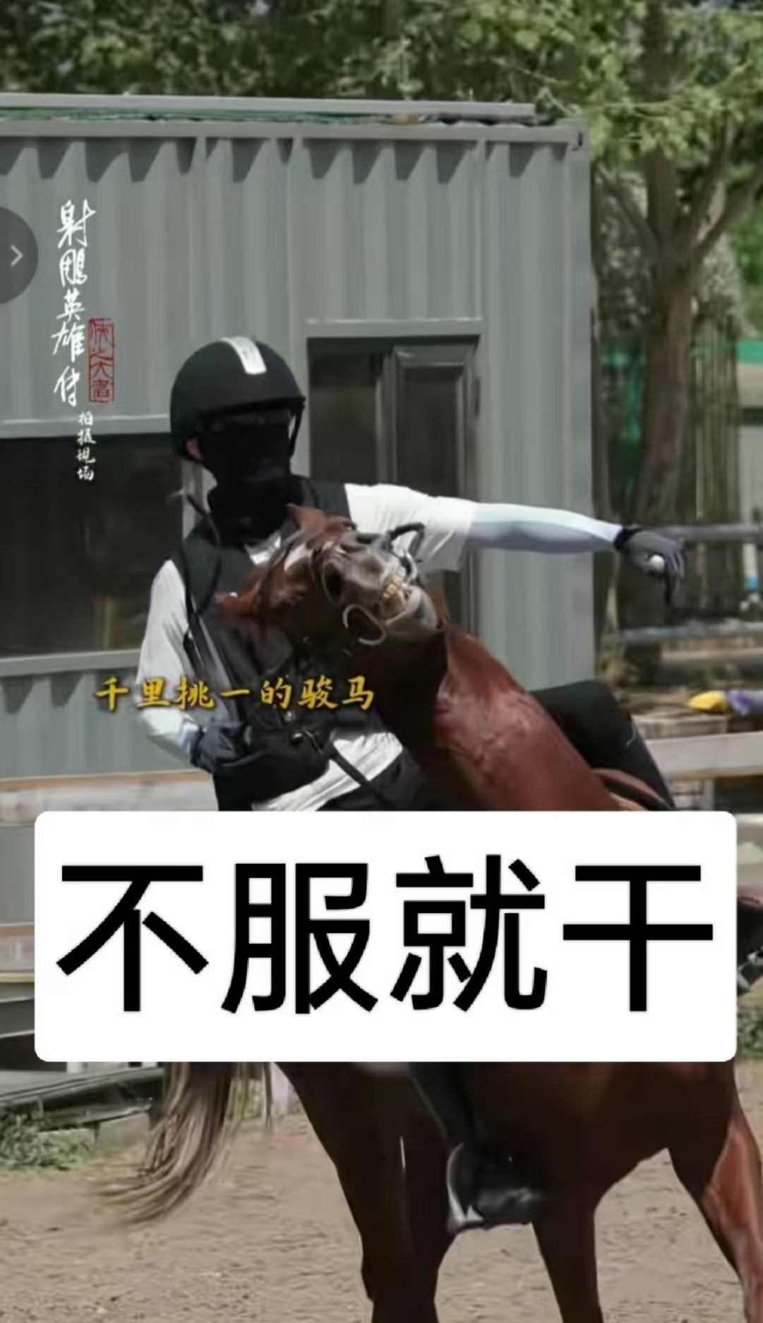 刻不容缓挑战艰难勇者舞剑试翅的简单介绍